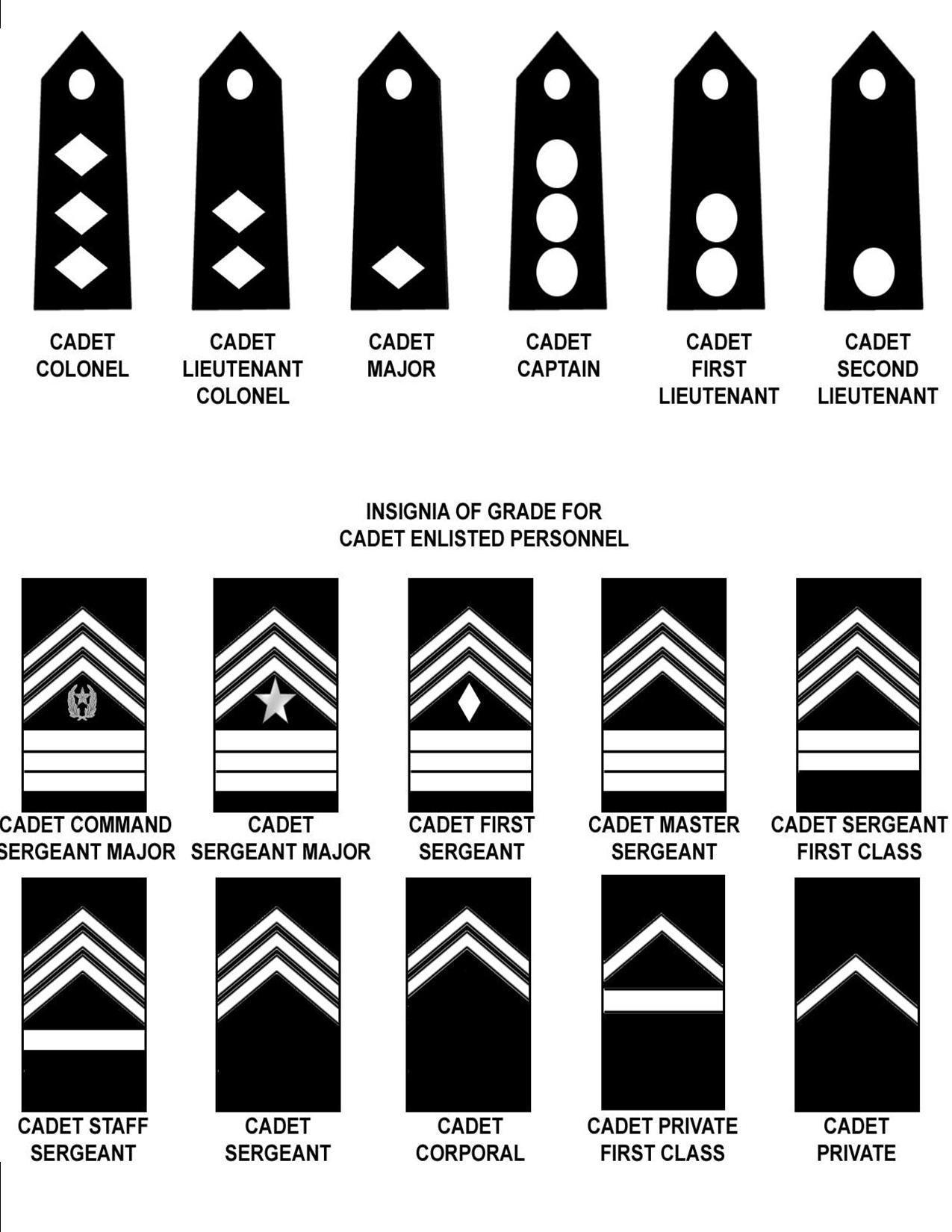 JROTC Rank Structure Chart showing officer and enlisted insignia